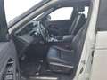 Land Rover Range Rover Evoque 2.0D I4 163 CV AWD Automatica R-Dynamic S NAVI LED Bianco - thumbnail 6