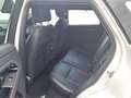 Land Rover Range Rover Evoque 2.0D I4 163 CV AWD Automatica R-Dynamic S NAVI LED Bianco - thumbnail 14