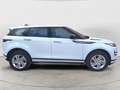 Land Rover Range Rover Evoque 2.0D I4 163 CV AWD Automatica R-Dynamic S NAVI LED Bianco - thumbnail 5