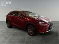 Lexus NX 300 h Executive Line +Kamera+Navi+Leder+4x4+ Rot - thumbnail 8