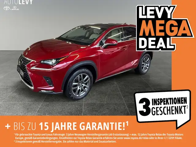 Lexus NX 300 h Executive Line +Kamera+Navi+Leder+4x4+