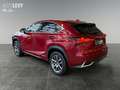 Lexus NX 300 h Executive Line +Kamera+Navi+Leder+4x4+ Rot - thumbnail 4