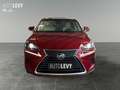 Lexus NX 300 h Executive Line +Kamera+Navi+Leder+4x4+ Rot - thumbnail 9