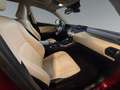 Lexus NX 300 h Executive Line +Kamera+Navi+Leder+4x4+ Rot - thumbnail 16