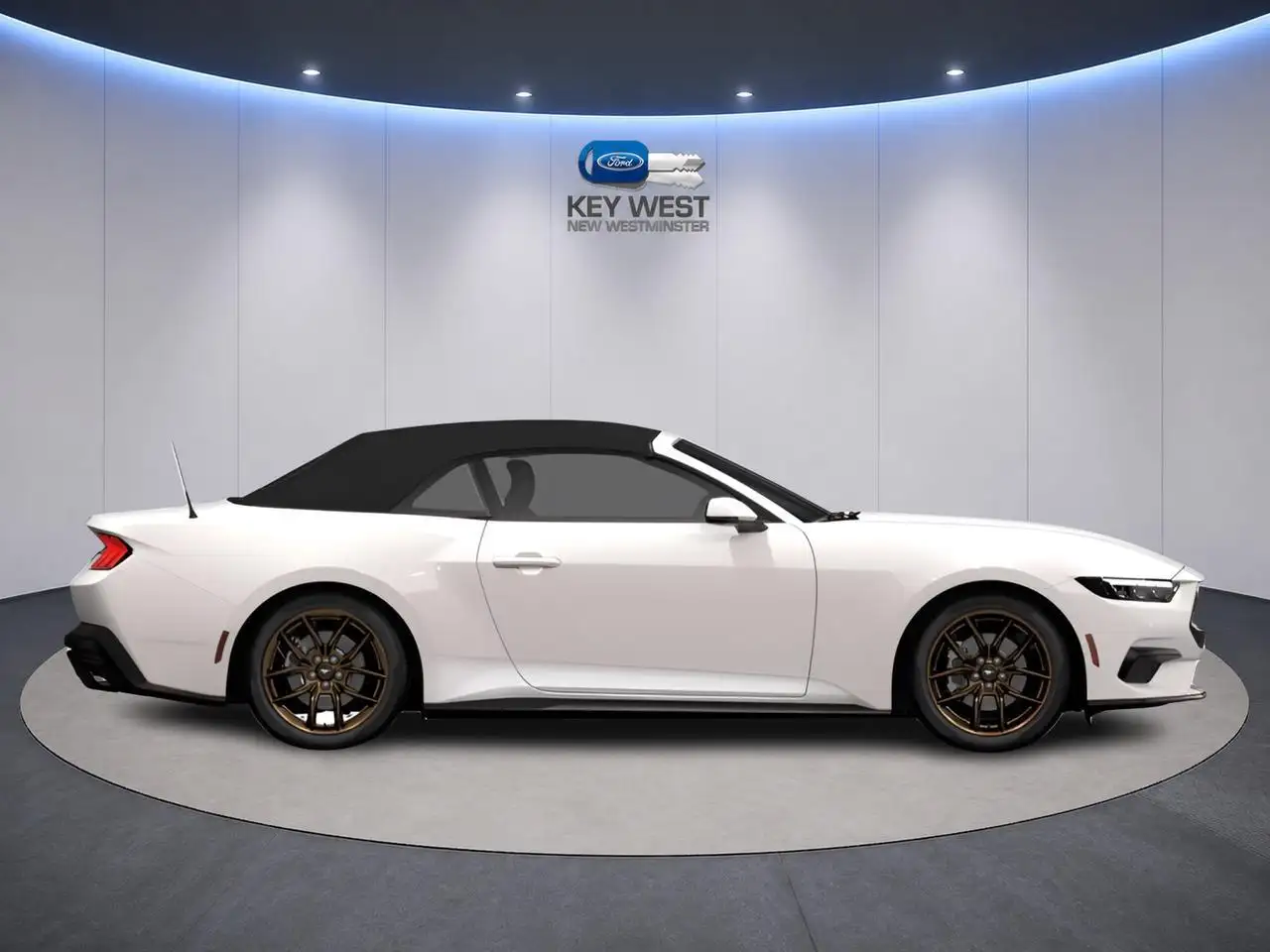 Ford Mustang photo Ford Mustang