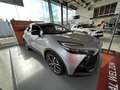 Toyota C-HR Premium Grau - thumbnail 3