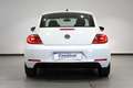 Volkswagen Beetle 1.2 TSI Beetlemanía 105 Blanc - thumbnail 5