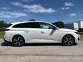 Peugeot 308 BlueHDi 130 S&S EAT8 SW Allure Pack Bianco - thumbnail 4