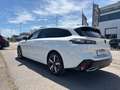 Peugeot 308 BlueHDi 130 S&S EAT8 SW Allure Pack Bianco - thumbnail 6