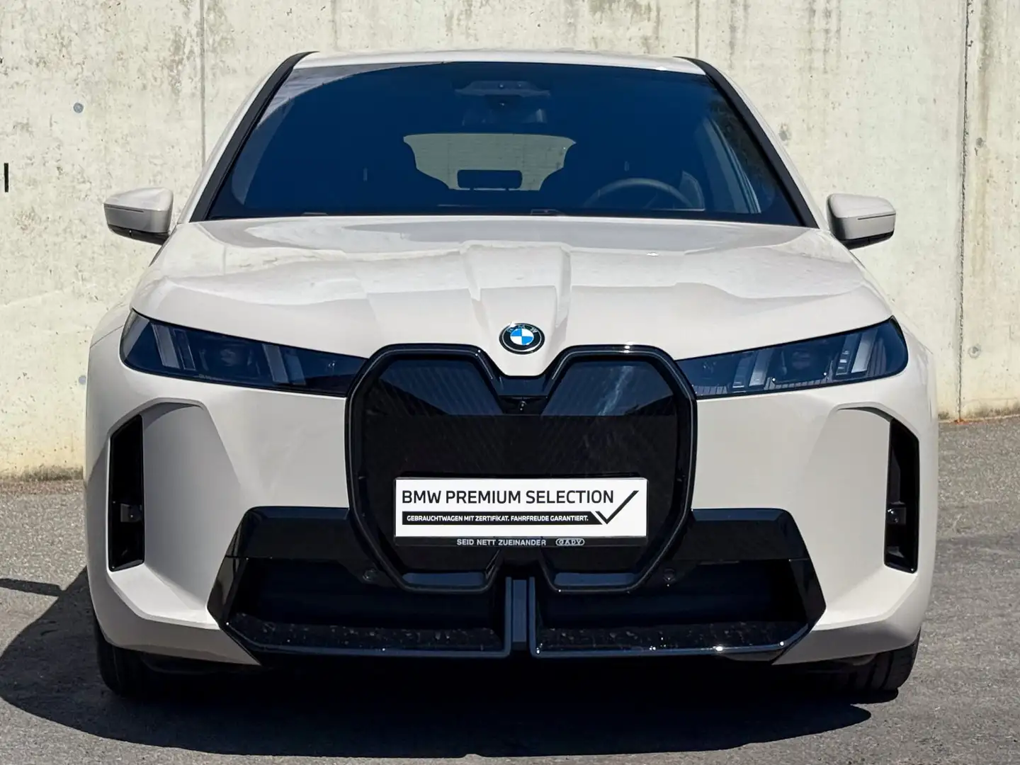 BMW iX iX xDrive45 Grau - 2