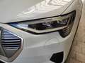 Audi e-tron 50 qu. *ACC*Virt.C+*AHK*NAV+*R-CAM*SHZ* Bílá - thumbnail 7