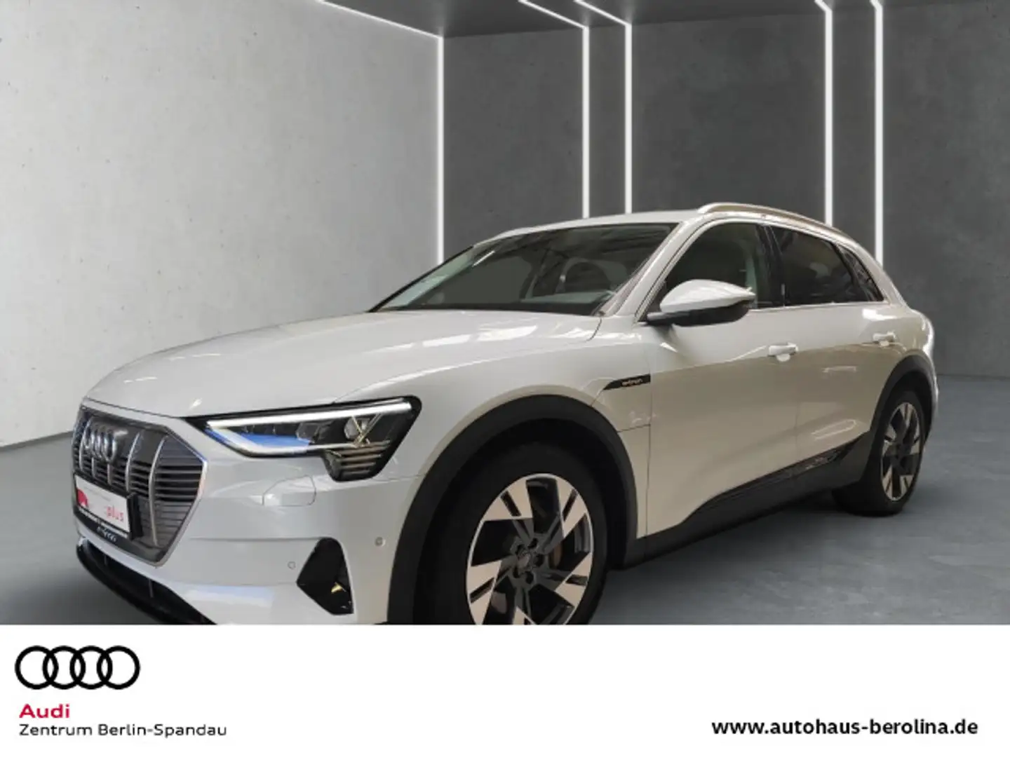 Audi e-tron 50 qu. *ACC*Virt.C+*AHK*NAV+*R-CAM*SHZ* Weiß - 1
