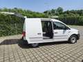 Volkswagen Caddy Nfz Kasten BMT Automatik Blanco - thumbnail 8