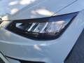 SEAT Ibiza 1.0 TSI Style DSG *GRA*PDC*KLIMA* Blanc - thumbnail 6