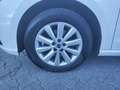SEAT Ibiza 1.0 TSI Style DSG *GRA*PDC*KLIMA* Blanc - thumbnail 5
