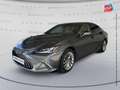 Lexus ES 300 300h Executive MY21 Grau - thumbnail 1