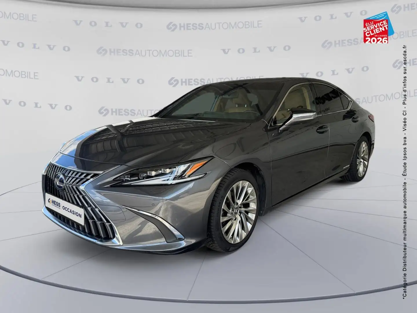 Lexus ES 300 300h Executive MY21 Grau - 1