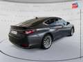 Lexus ES 300 300h Executive MY21 Grau - thumbnail 6