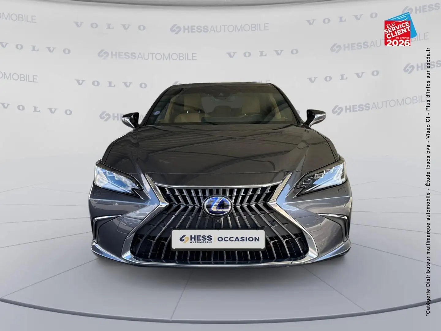 Lexus ES 300 300h Executive MY21 Grau - 2