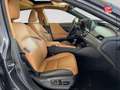 Lexus ES 300 300h Executive MY21 Grau - thumbnail 5