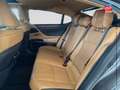 Lexus ES 300 300h Executive MY21 Grau - thumbnail 11