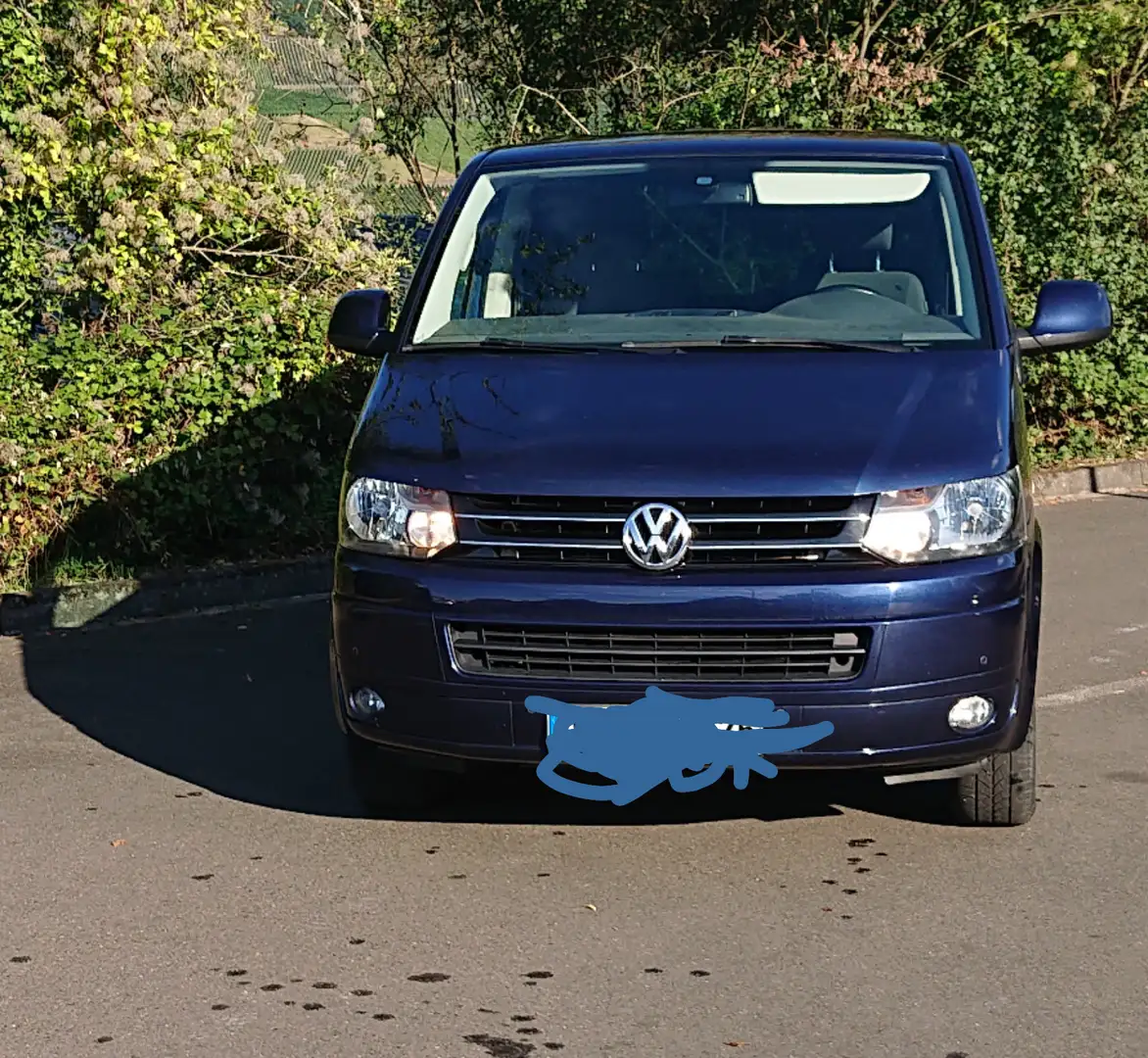 Volkswagen T5 Multivan Multivan Special Blau - 1