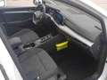 Volkswagen Golf Variant Golf VIII Variant 1.5 eTSI DSG IQ+NAVI+AHK+PANO Weiß - thumbnail 4