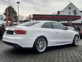 Audi A5 3.0 TDI DPF quattro S-line Panorama guter Zustand Wit - thumbnail 4