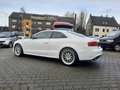 Audi A5 3.0 TDI DPF quattro S-line Panorama guter Zustand Wit - thumbnail 7