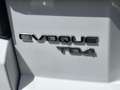 Land Rover Range Rover Evoque 5p 2.2 td4 Launch edition 150cv - thumbnail 8