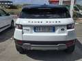Land Rover Range Rover Evoque 5p 2.2 td4 Launch edition 150cv - thumbnail 5