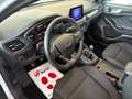 Ford Focus Focus SW 1.5 ecoblue ST-Line s Grijs - thumbnail 8