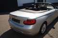 BMW 218 i Cabrio Advantage Navi Bi-Xenon Top Zustand Silber - thumbnail 5