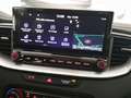 Kia Ceed / cee'd - Ceed 1.6 T-GDi 204 CV DCT 5p. GT Argento - thumbnail 11