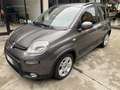Fiat Panda 1.0 firefly hybrid City Life s&s 70cv 5pti Grau - thumbnail 1