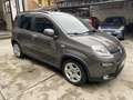 Fiat Panda 1.0 firefly hybrid City Life s&s 70cv 5pti Grau - thumbnail 2