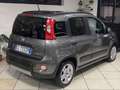 Fiat Panda 1.0 firefly hybrid City Life s&s 70cv 5pti Grau - thumbnail 12