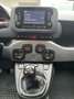 Fiat Panda 1.0 firefly hybrid City Life s&s 70cv 5pti Grau - thumbnail 6