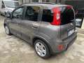 Fiat Panda 1.0 firefly hybrid City Life s&s 70cv 5pti Grau - thumbnail 3