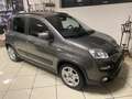 Fiat Panda 1.0 firefly hybrid City Life s&s 70cv 5pti Grau - thumbnail 11