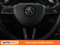 Skoda Kodiaq 2.0 TDI Ambition Limited 4x4 Schwarz - thumbnail 19