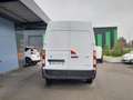 Renault Master FOURGON L2H2 DCI 135 GRAND CONFORT PRIX 14000 EUROS HT Alb - thumbnail 5