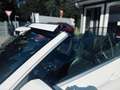 Mercedes-Benz C 180 Cabrio AMG+Airscarf+Alcantara+Navi+LED+ Weiß - thumbnail 40