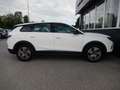 Opel Grandland 1.2 MHEV Edition Aut. Weiß - thumbnail 5