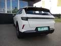 Opel Grandland 1.2 MHEV Edition Aut. Weiß - thumbnail 6