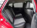 Toyota Auris 1.8 Hybrid Executive * 4 SEIZOENSBANDEN * TREKHAAK Rood - thumbnail 30