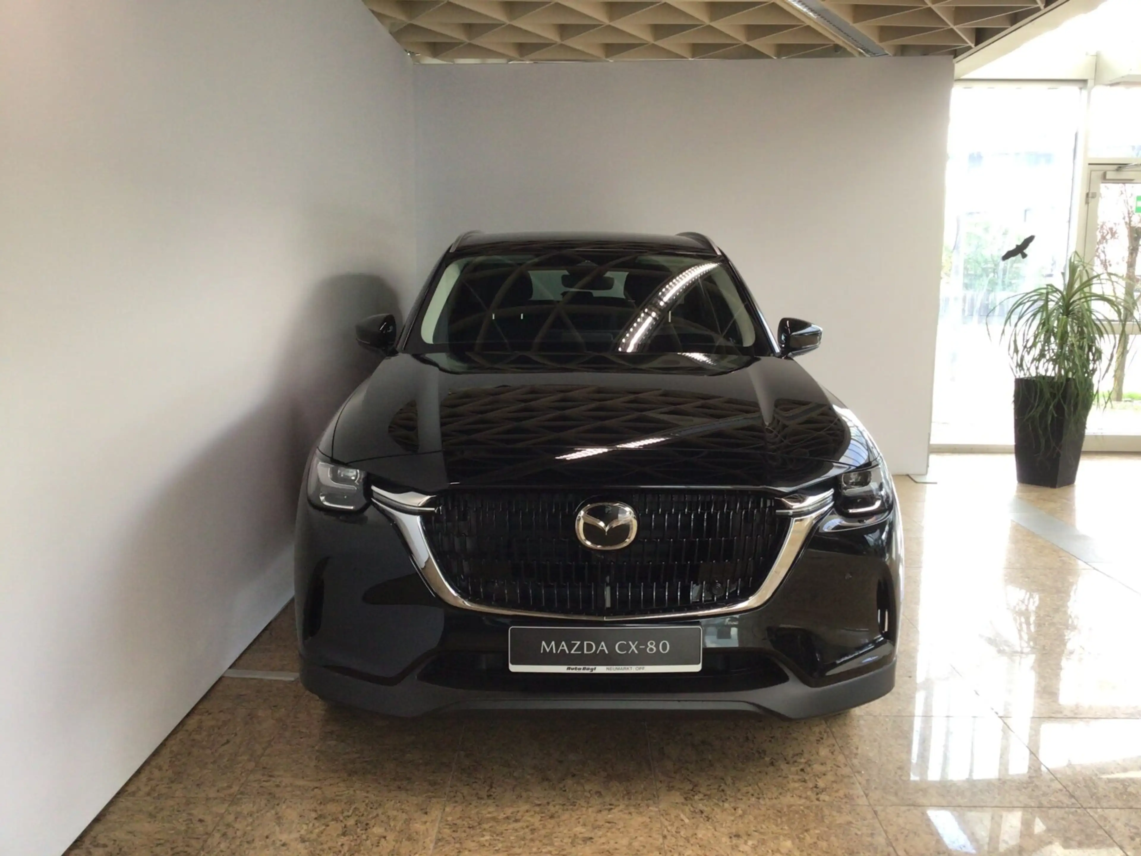 Mazda CX-80 CX-80 3.3 e-SKYACTIV-D 254 M-Hy Exclusive-Line AWD — photo 3