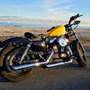 Harley-Davidson Sportster Forty Eight Harley Davidson Sportster Forty Eight XL1200X Giallo - thumbnail 1