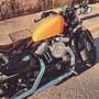 Harley-Davidson Sportster Forty Eight Harley Davidson Sportster Forty Eight XL1200X Giallo - thumbnail 8