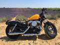 Harley-Davidson Sportster Forty Eight Harley Davidson Sportster Forty Eight XL1200X Giallo - thumbnail 9